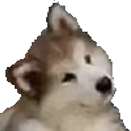 🐶 Эмодзи «Pepe's Vibes» для Telegram