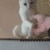 👋 Эмодзи «peppo» для Telegram
