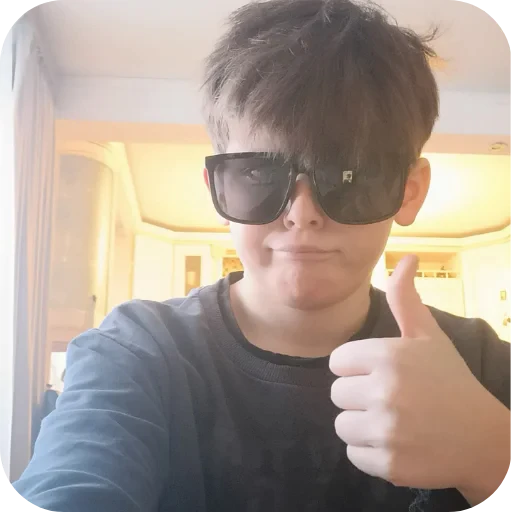 😎 Стикер «Я тупик Шньюаик» для Telegram