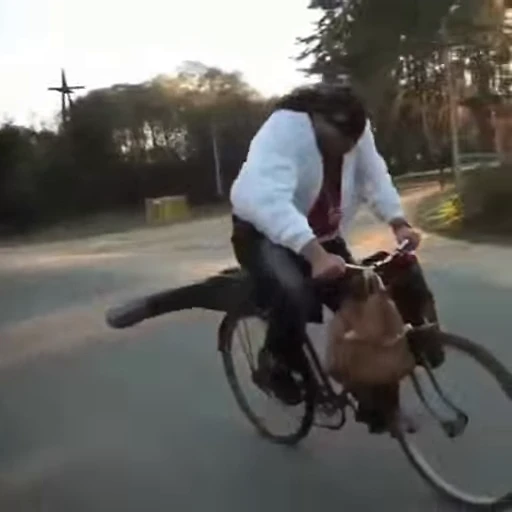 🚲 Стикер «Sunboy» для Telegram