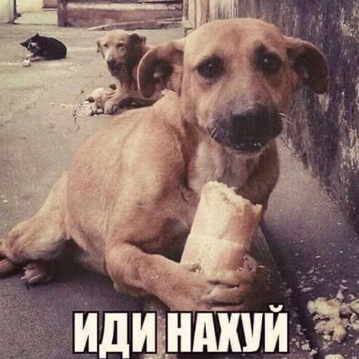 😡 Стикер «Переговоры» для Telegram