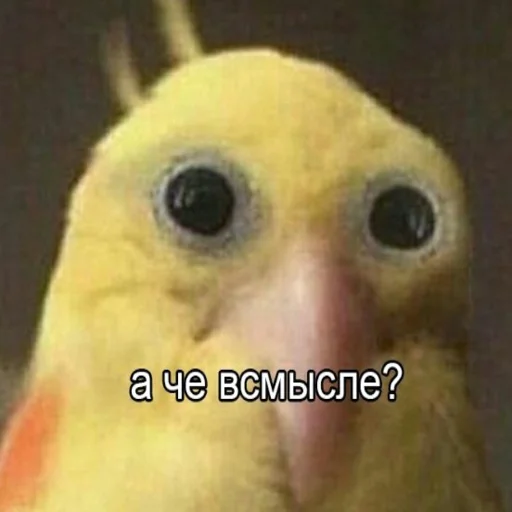 😕 Стикер «Переговоры» для Telegram