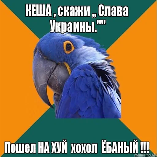 🐷 Стикер «Переговоры» для Telegram