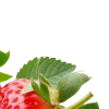 Стикер 58 Redmoji