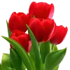 Стикер 47 Redmoji