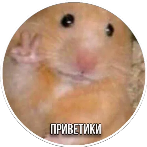😌 Стикер «Период Полураспада Урана» для Telegram