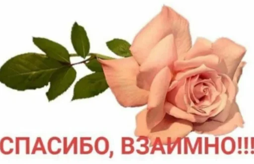 🎀 Стикер «periodt(achilova)mood!» для Telegram