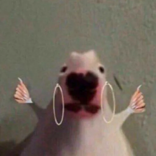 🎀 Стикер «periodt(achilova)mood!» для Telegram