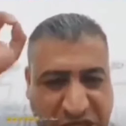 🤬 Стикер «Persian memes» для Telegram