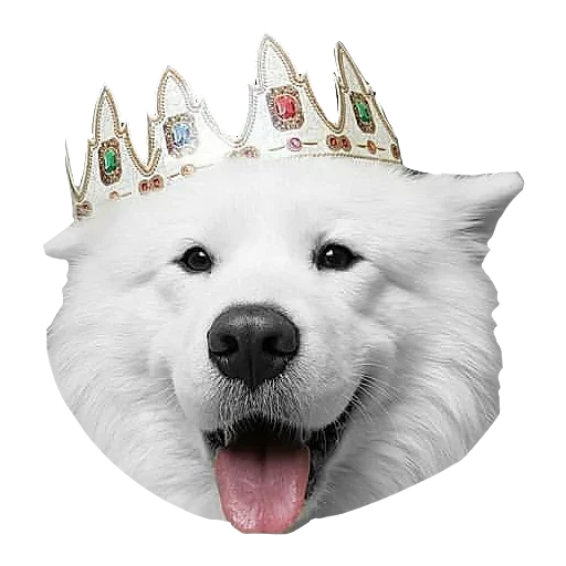 ☺️ Стикер «Песечки» для Telegram