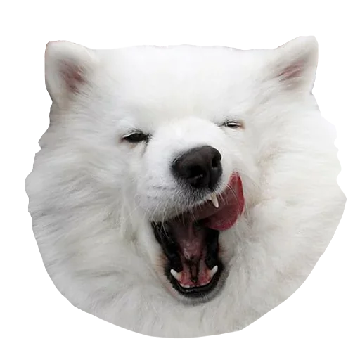 🤨 Стикер «Песечки» для Telegram