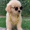 😎 Эмодзи «Пёсики» для Telegram