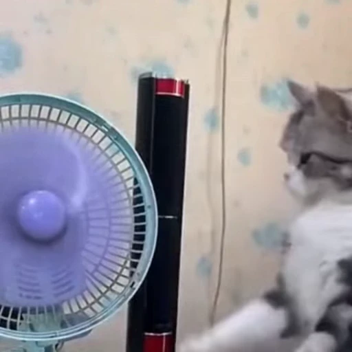 🐈 Стикер «Песики и котики» для Telegram