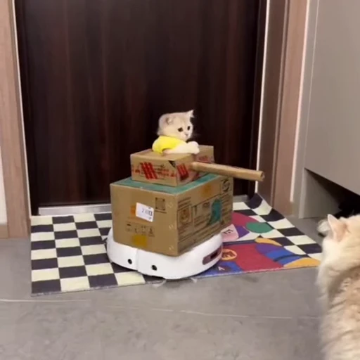 🐈 Стикер «Песики и котики» для Telegram