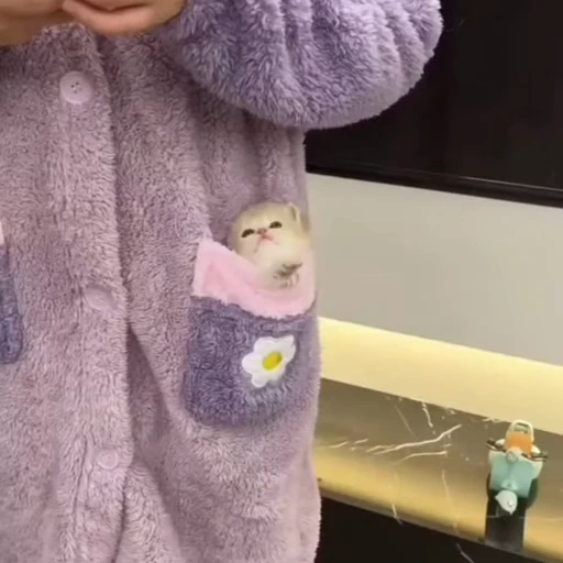 🐈 Стикер «Песики и котики» для Telegram
