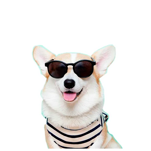 😎 Стикер «Бляцкие корги» для Telegram