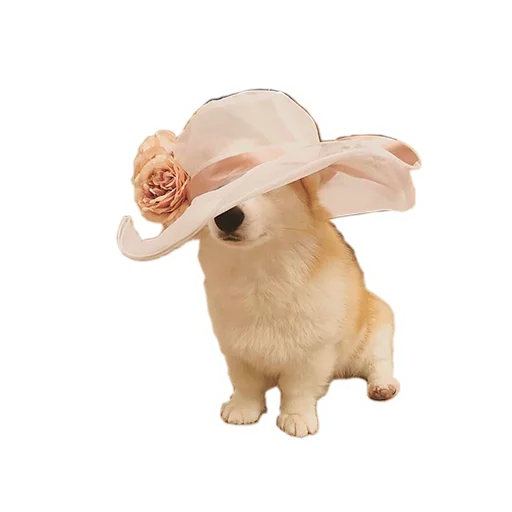 👒 Стикер «Бляцкие корги» для Telegram