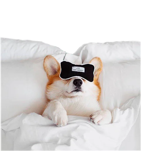 😴 Стикер «Бляцкие корги» для Telegram
