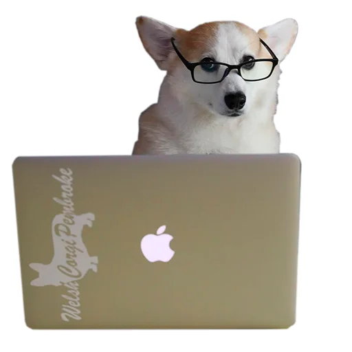 💻 Стикер «Бляцкие корги» для Telegram