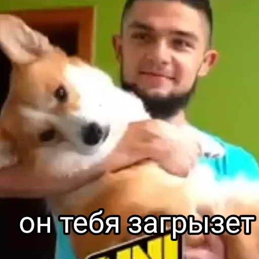 🐶 Стикер «Пётр Олегович» для Telegram