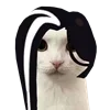 Стикер 41 Pets