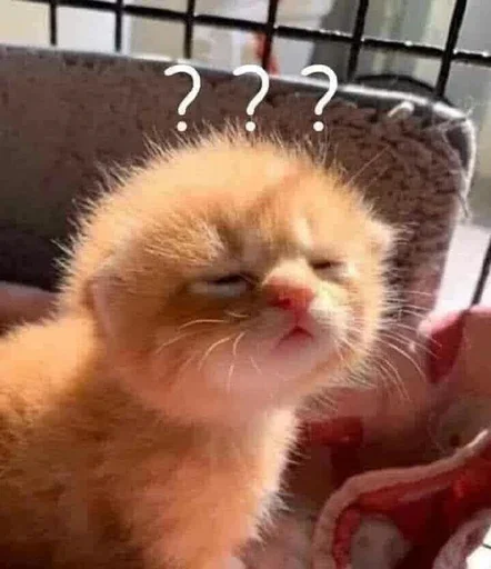🤔 Стикер «Animal mem» для Telegram