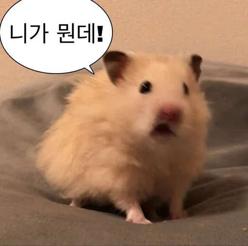 😰 Стикер «Animal mem» для Telegram