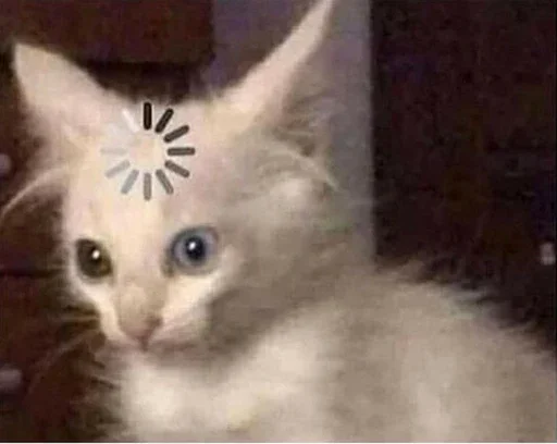 🫥 Стикер «Animal mem» для Telegram