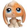 Стикер 50 littlest pet shop