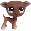 Стикер 43 littlest pet shop