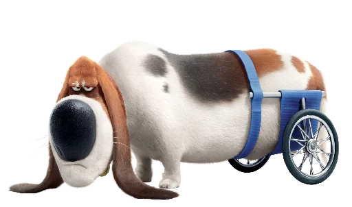 😠 Стикер «SecretLivePets» для Telegram