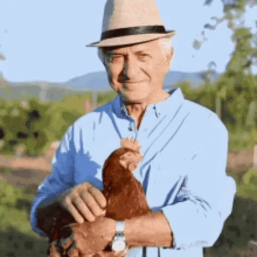 🐔 Стикер «Петухи» для Telegram