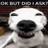 Стикер 38 😫 😎 😶 🤙 😮 🤪
