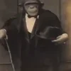 Стикер 28 😫 😎 😶 🤙 😮 🤪