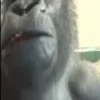 Стикер 37 😫 😎 😶 🤙 😮 🤪