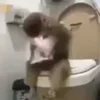Стикер 25 😫 😎 😶 🤙 😮 🤪