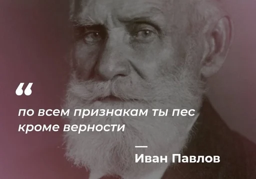 🐶 Стикер «Philosophical Memes» для Telegram