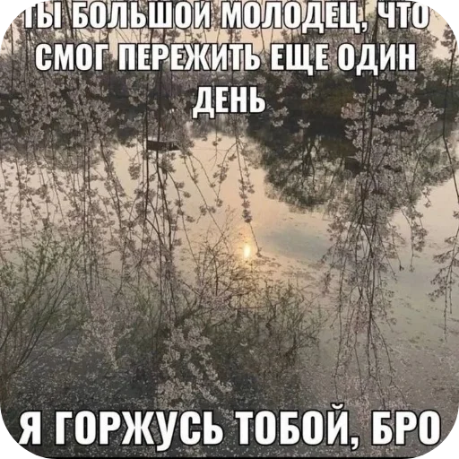 🖼 Стикер «Philosophy» для Telegram