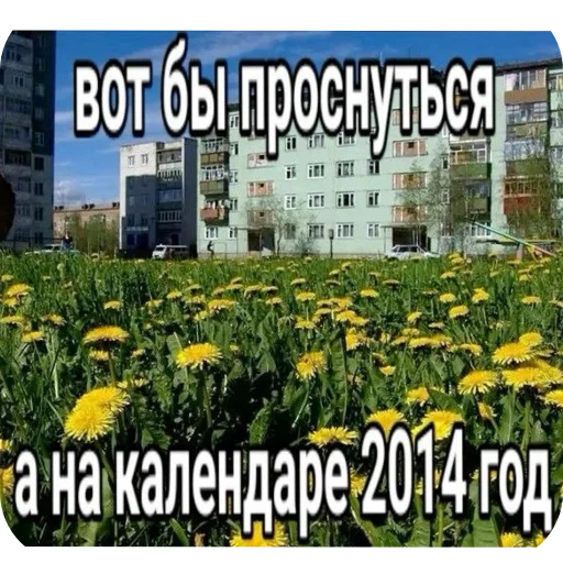 🌸 Стикер «Philosophy» для Telegram