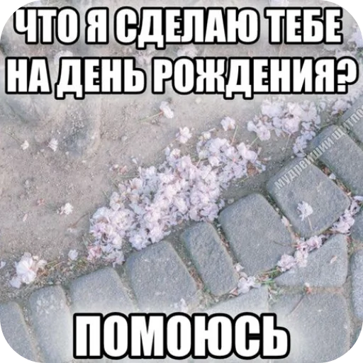 🪨 Стикер «Philosophy» для Telegram