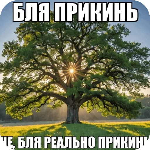 🔥 Стикер «Philosophy» для Telegram