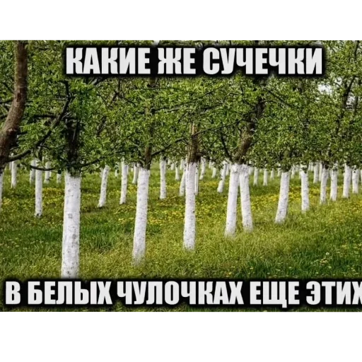 🥰 Стикер «Philosophy» для Telegram