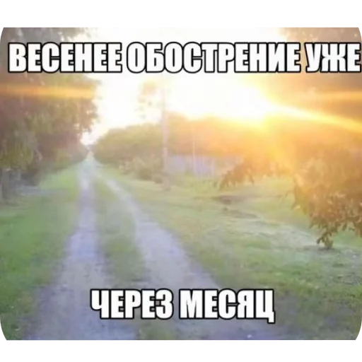 ❤ Стикер «Philosophy» для Telegram