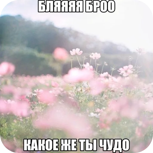 🤲 Стикер «Philosophy» для Telegram