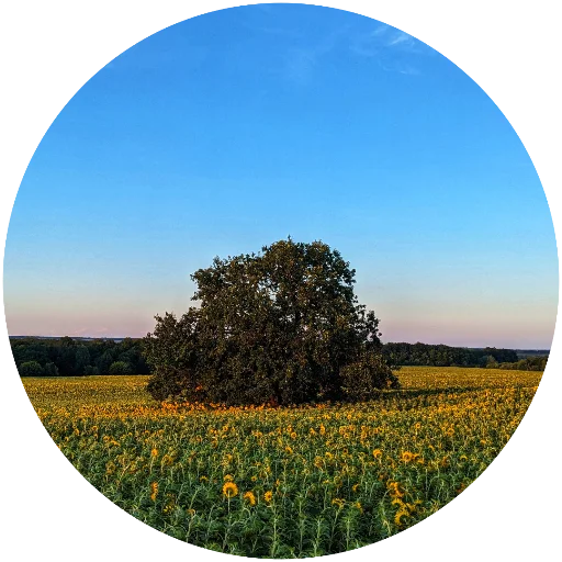 🌳 Стикер «Nature» для Telegram