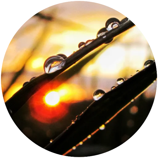 ☀️ Стикер «Nature» для Telegram