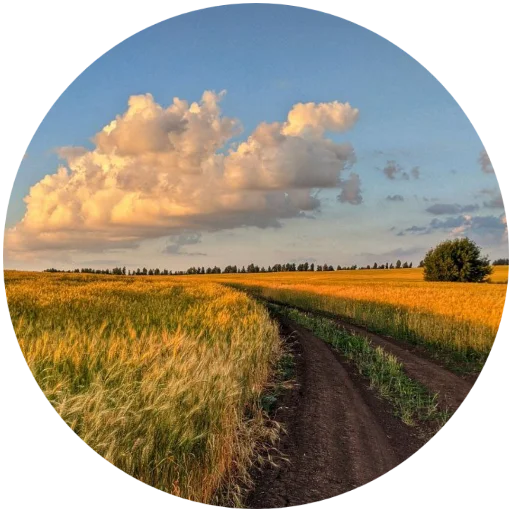 ☀️ Стикер «Nature» для Telegram