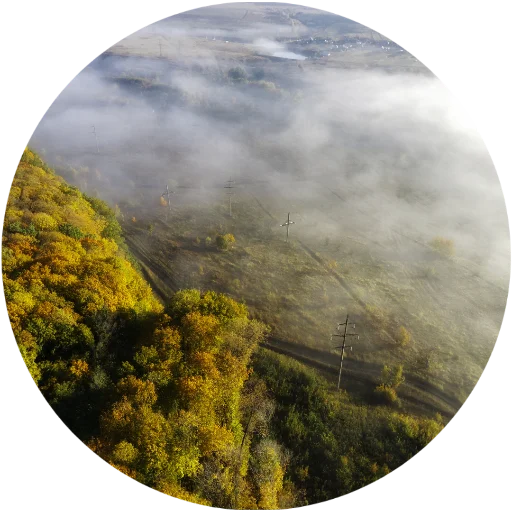 🌳 Стикер «Nature» для Telegram