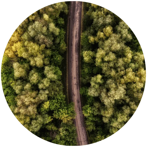 🛣 Стикер «Nature» для Telegram