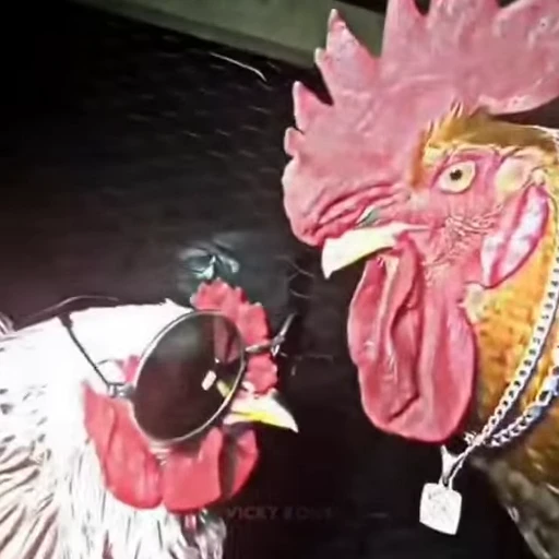 🐓 Стикер «phnkrs» для Telegram